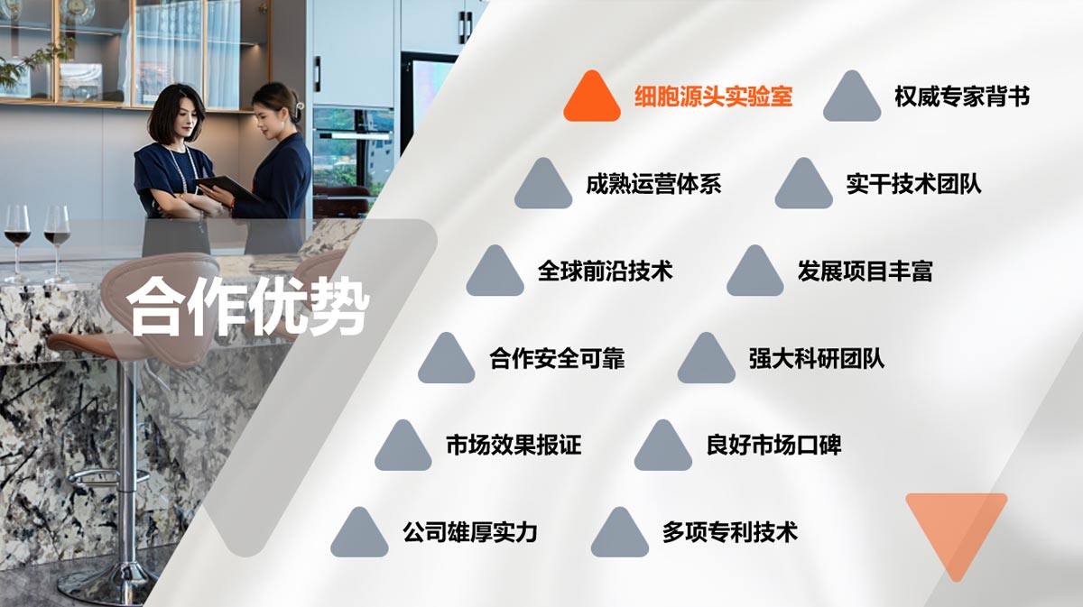 合作優(yōu)勢