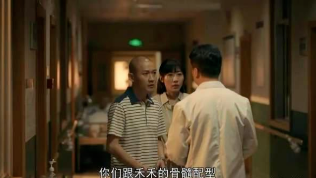 你了解干細胞配型嗎?一起探索其中的奧秘吧!