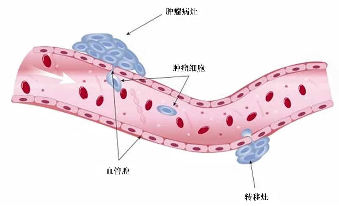 微信圖片_20230222161233.jpg