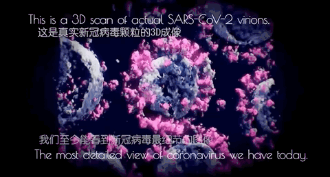 微信圖片_20230517103500.gif