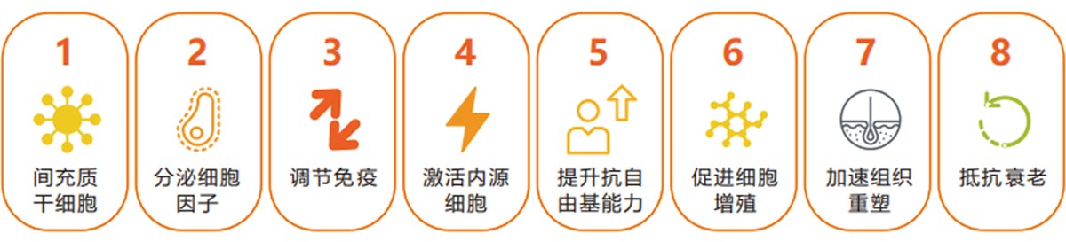 kangshuaiyuanli2.jpg