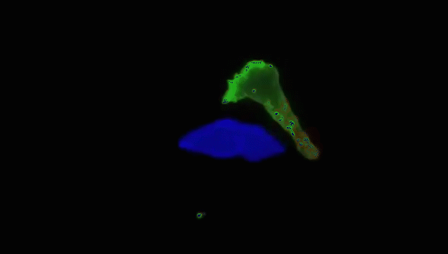 微信圖片_20230615104202.gif