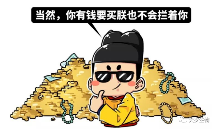 1698991082406.png