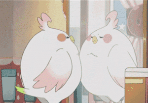640 (1).gif