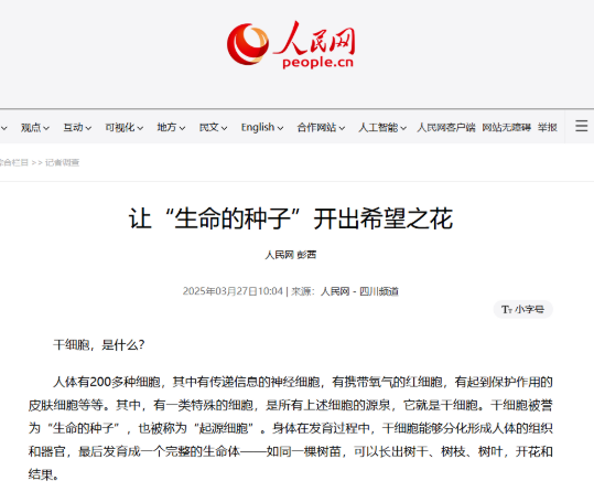間充質干細胞:醫療革命的“超級細胞”