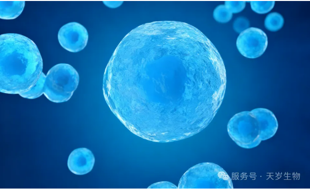 六個“不起眼”的跡象提示免疫力下滑,科學存儲為健康護航
