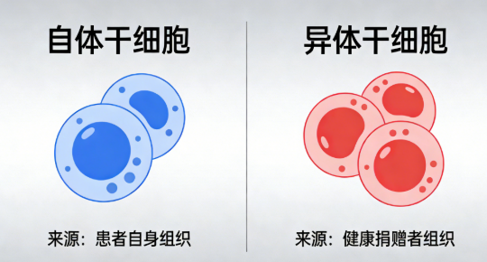 選擇干細胞:你的年齡與病情決定最佳方案